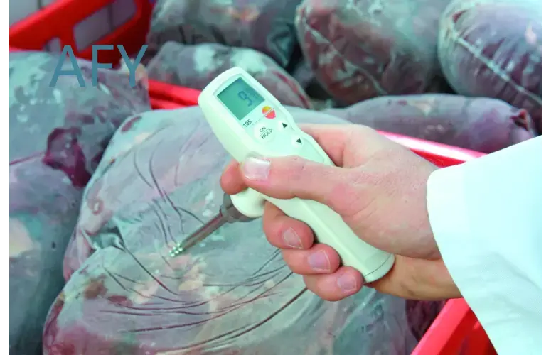 Termómetro testo 105 para alim - Commercial Kitchen Inspection reseña y precio